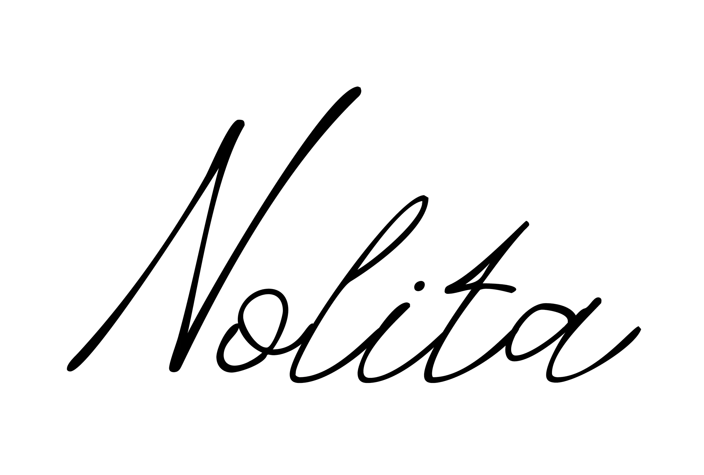 Logo Nolita 200x135mm zonder onderzin_1